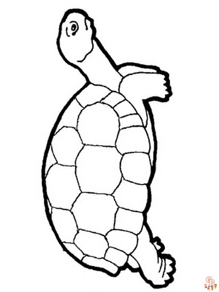 schildpad kleurplaten 11