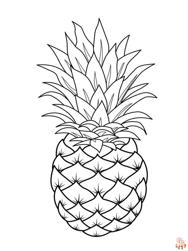 Ananas kleurplaat 20