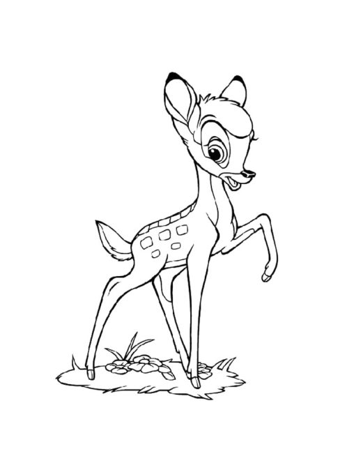 Bambi Kleurplaat Gratis te Printen Kleurplaten van Bambi