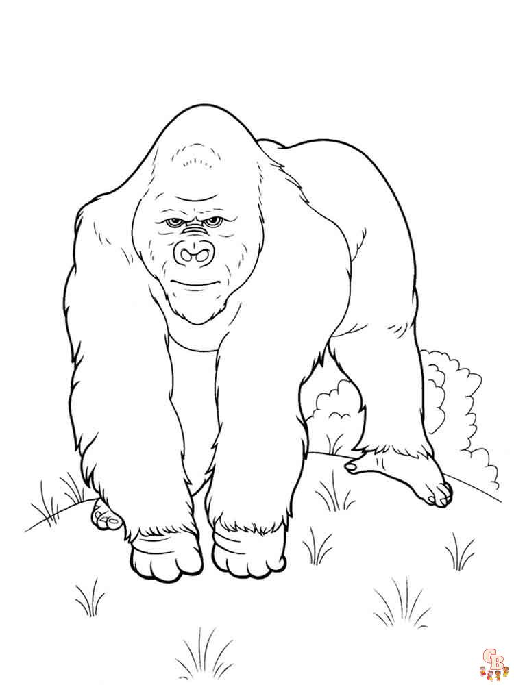 Gorilla Kleurplaten 5