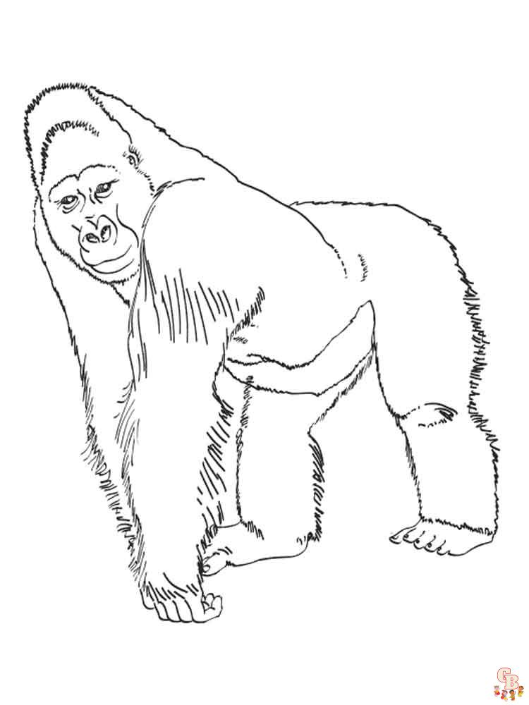 Gorilla Kleurplaten 7