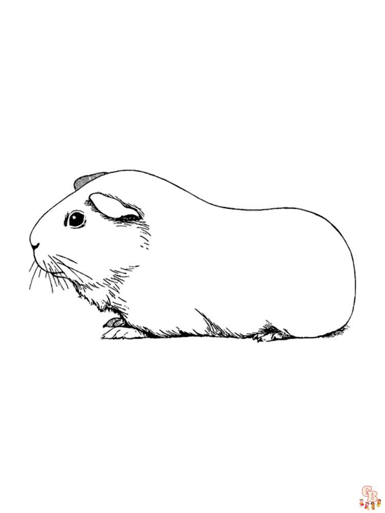 cavia kleurplaten 6