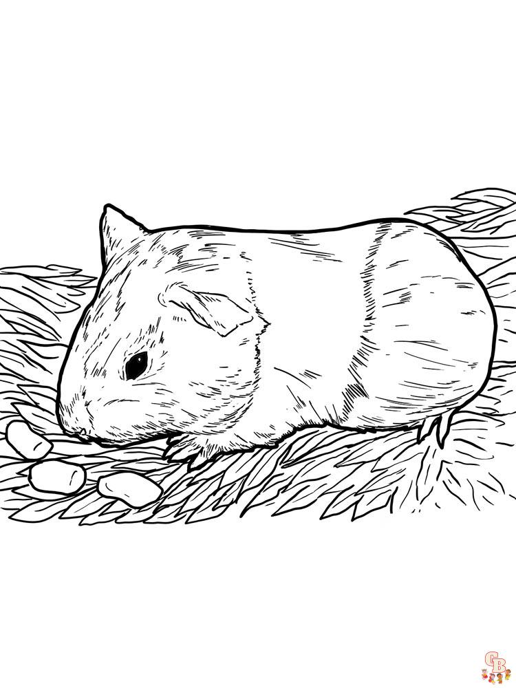 cavia kleurplaten 9