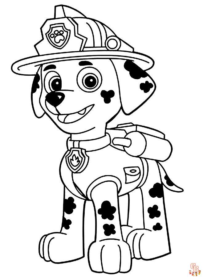 paw patrol verjaardag 4