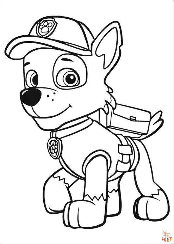 paw patrol verjaardag 5