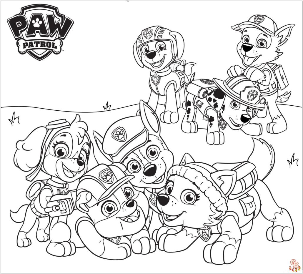 paw patrol verjaardag 8