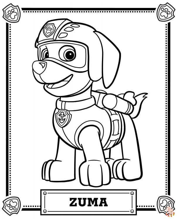 rocky paw patrol 1