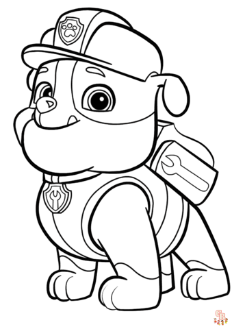 rocky paw patrol 1