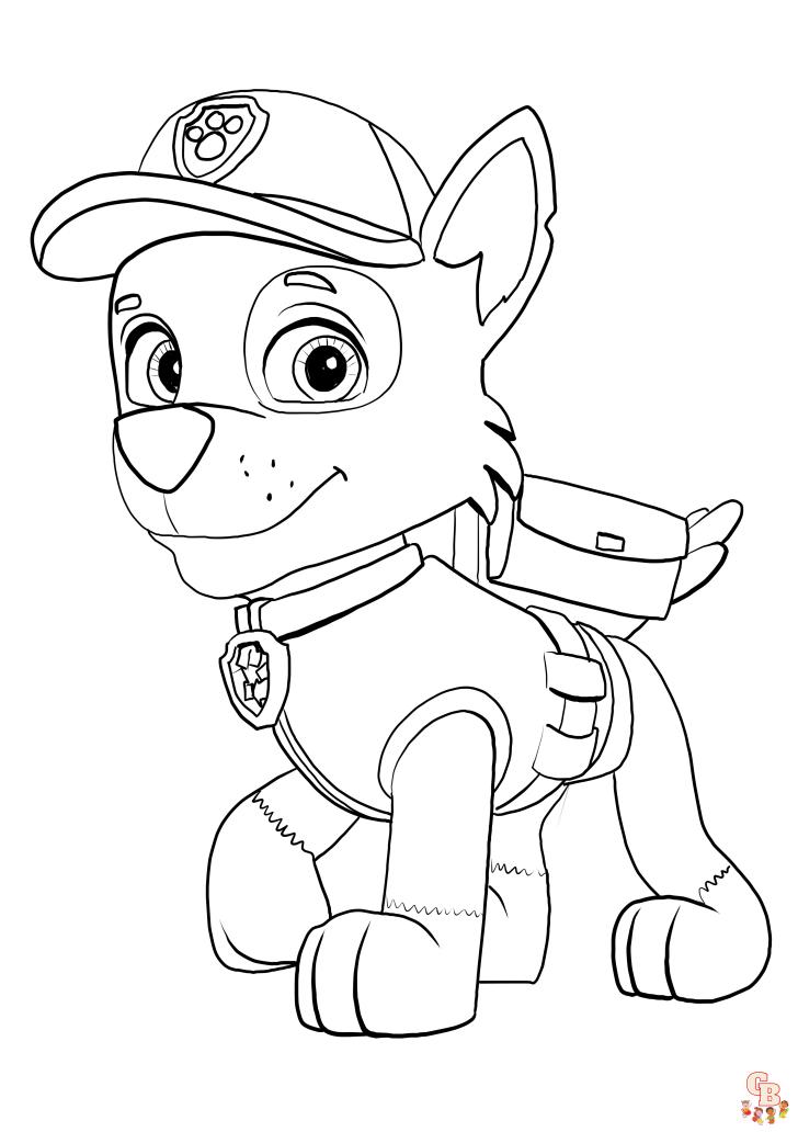 rocky paw patrol 7