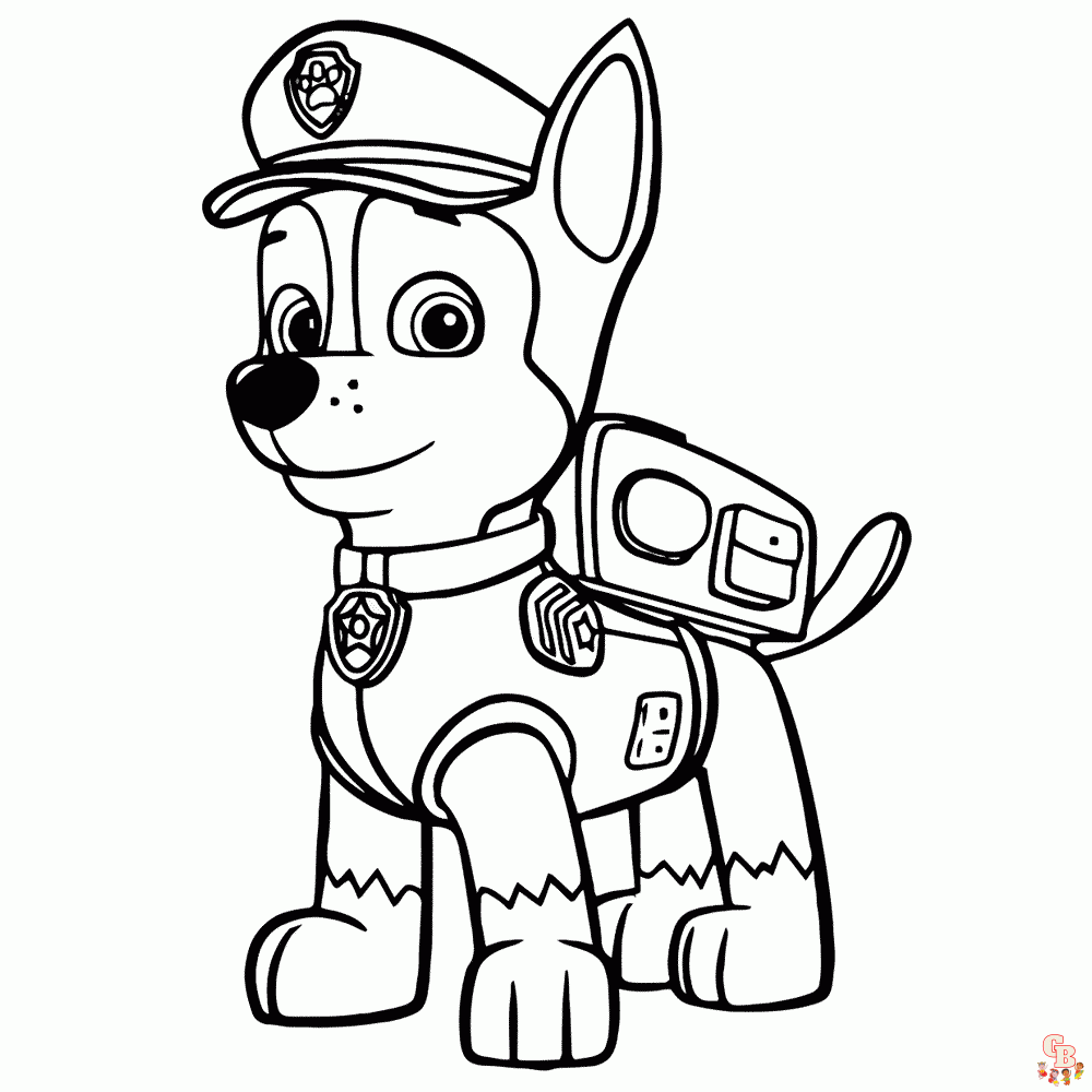 ryder paw patrol 1