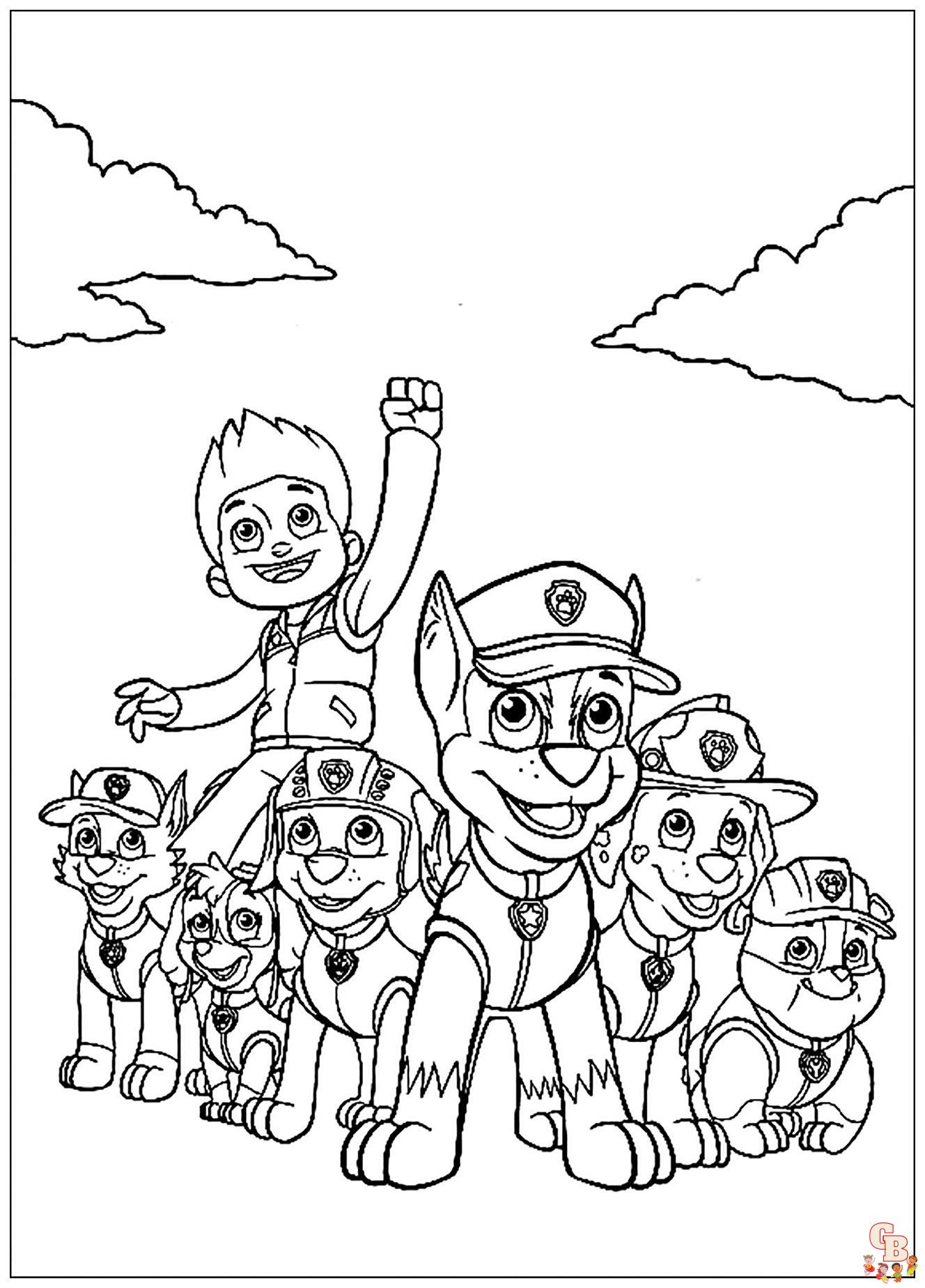 ryder paw patrol 8