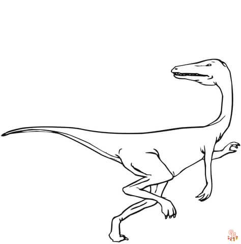 velociraptor 1