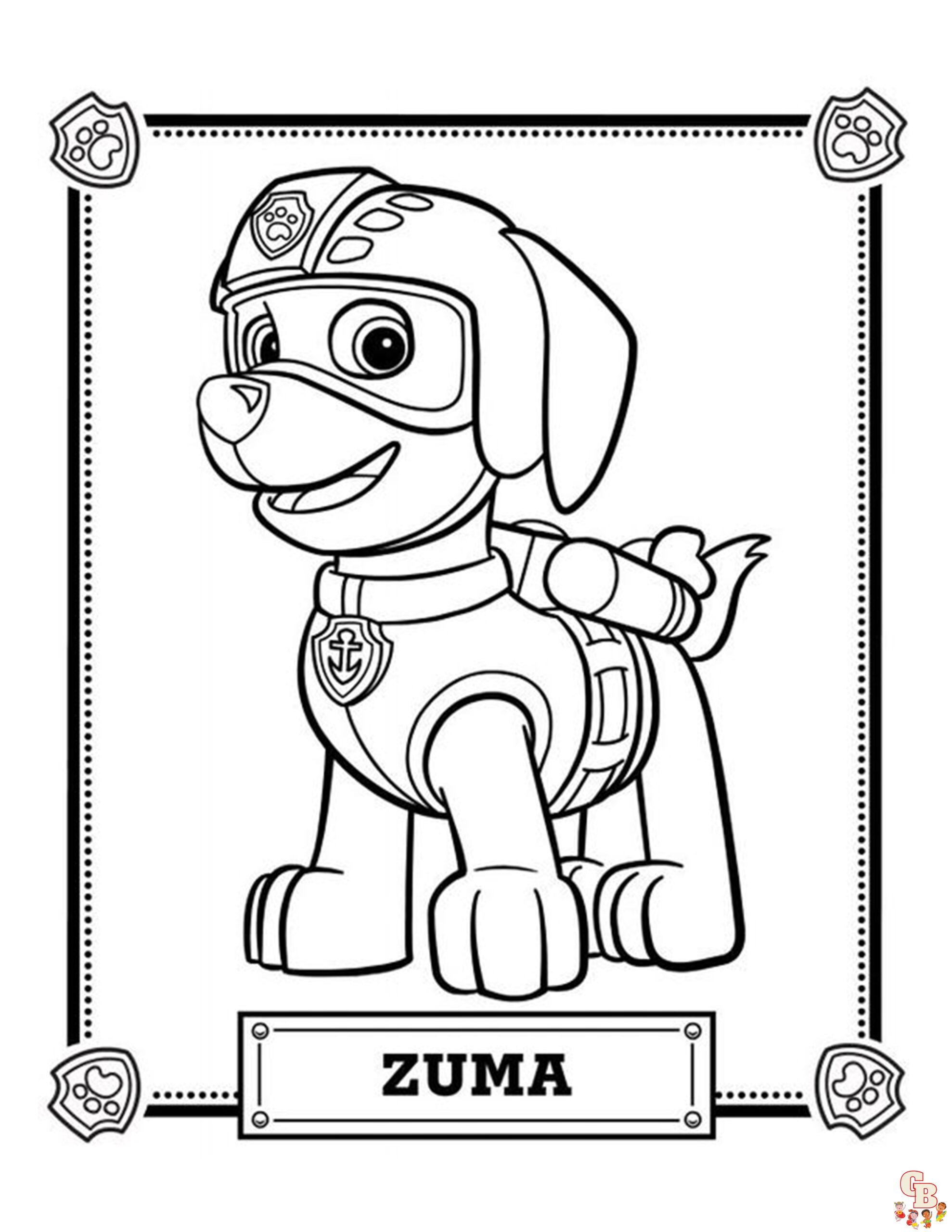 zuma paw patrol 8