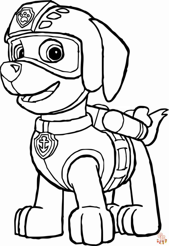 zuma paw patrol 9