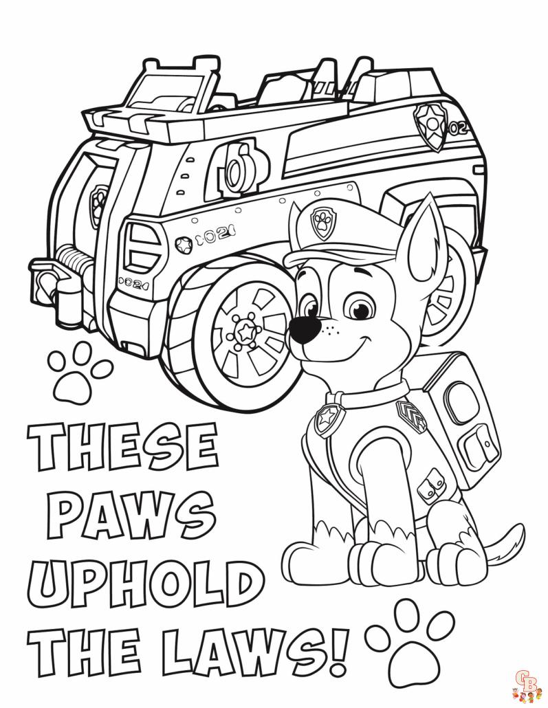 chase paw patrol 5