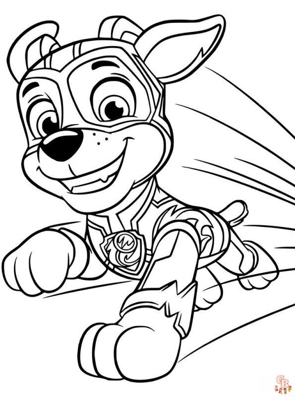 chase paw patrol 6