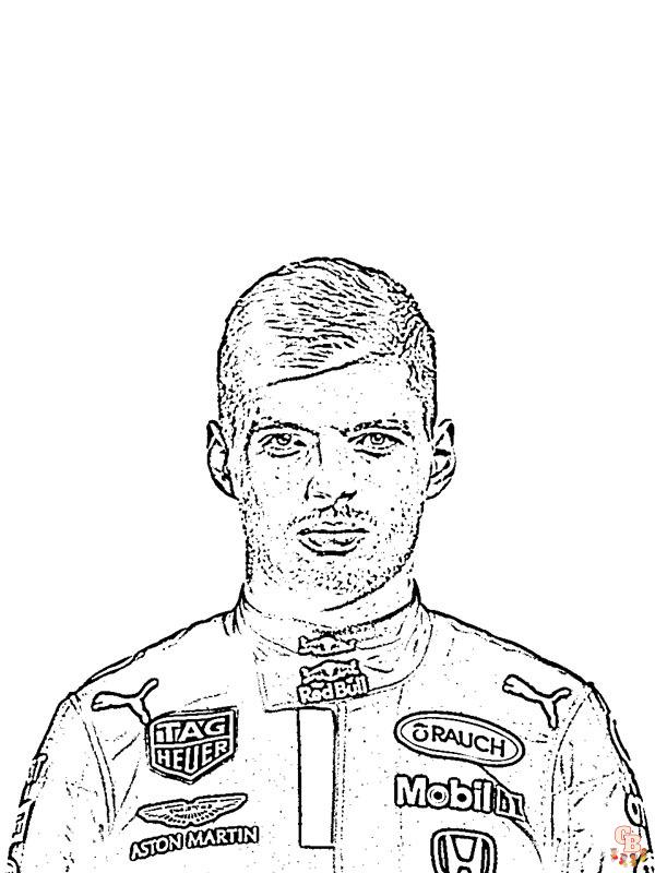 1 max verstappen