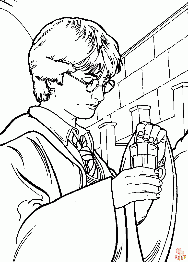 Harry Potter 02