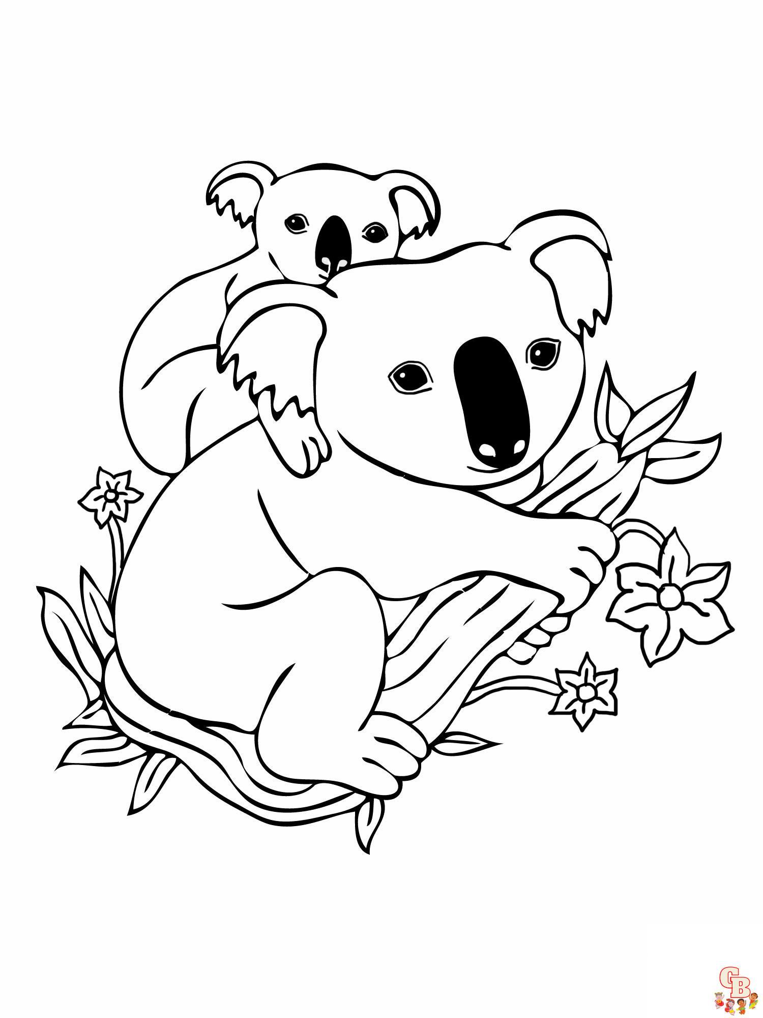 Koala01