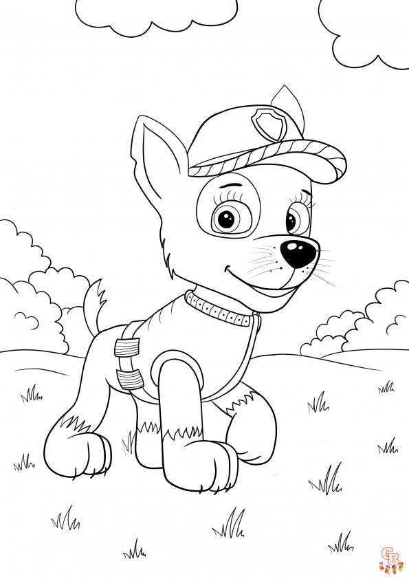 Gratis Paw Patrol kleurplaten - Kleurplaten met alle Paw Patrol pups