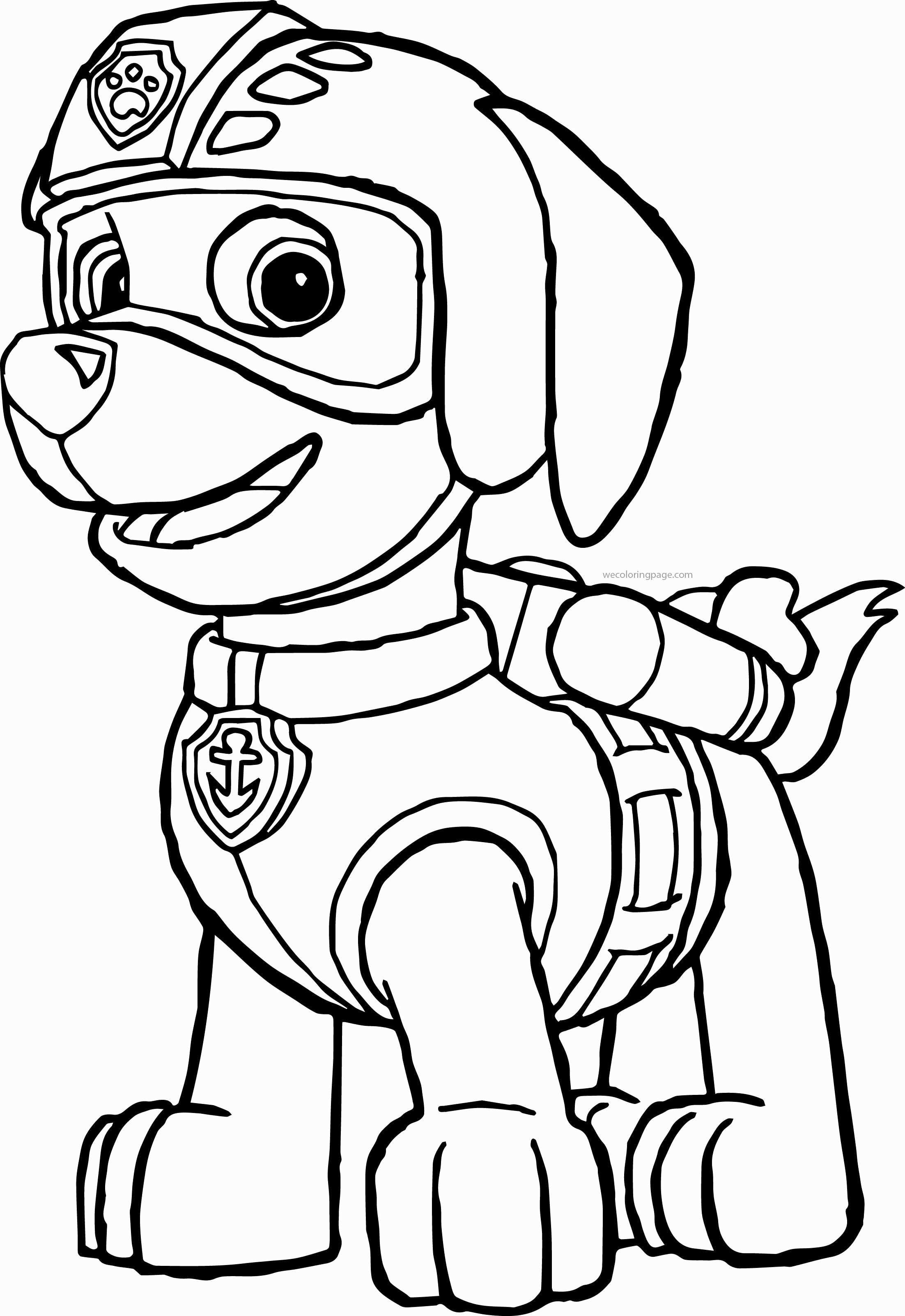 Gratis Paw Patrol kleurplaten - Kleurplaten met alle Paw Patrol pups