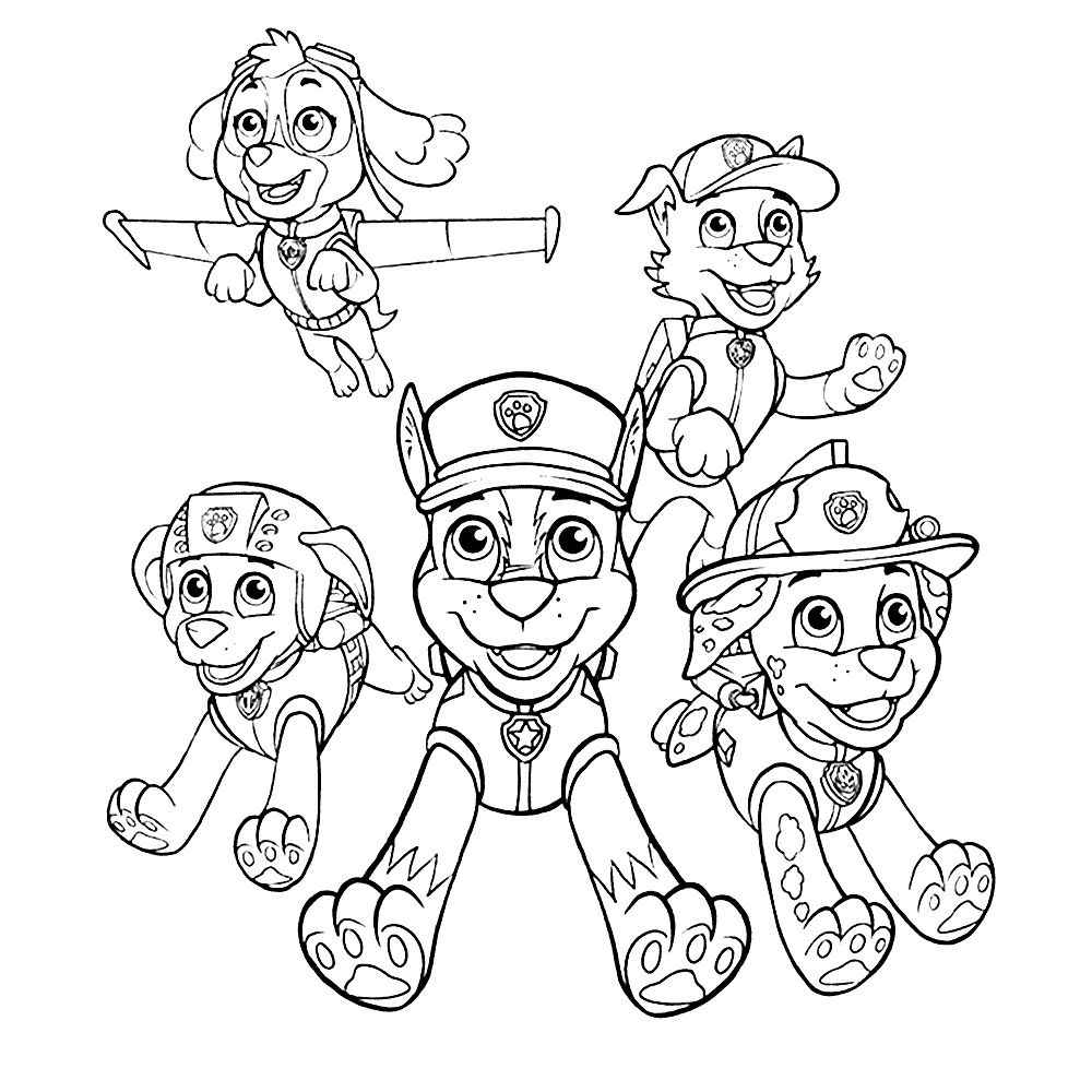 paw patrol7