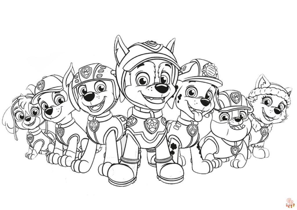 wonder day paw patrol 30 1024x724 1