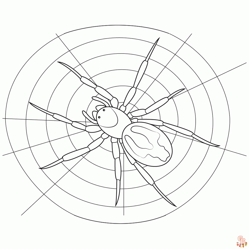 spin kleurplaat 4