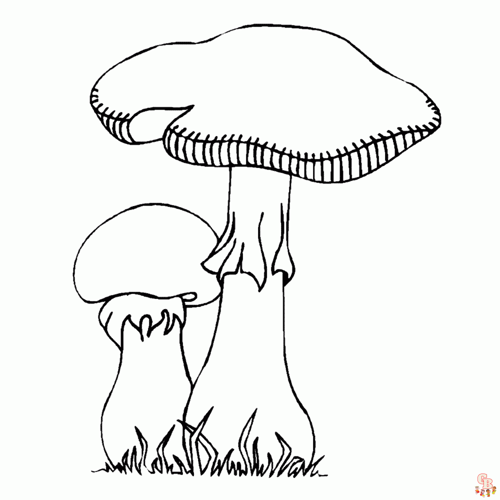 paddestoelen kleurplaten 3