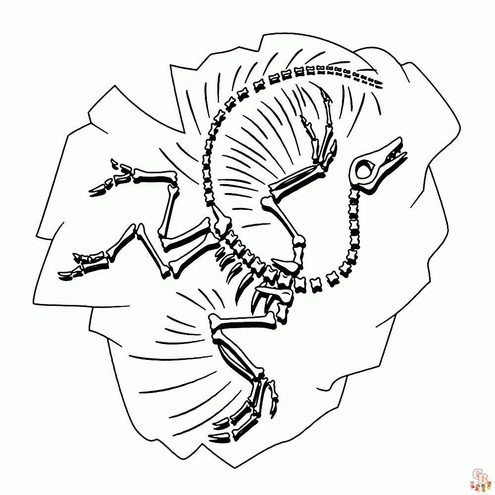 Fossielen en Dinoskeletten Kleurplaten 5