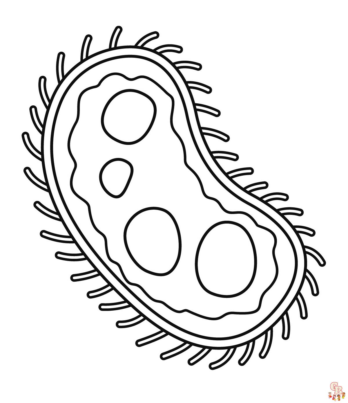 Micro organismen Kleurplaten 6