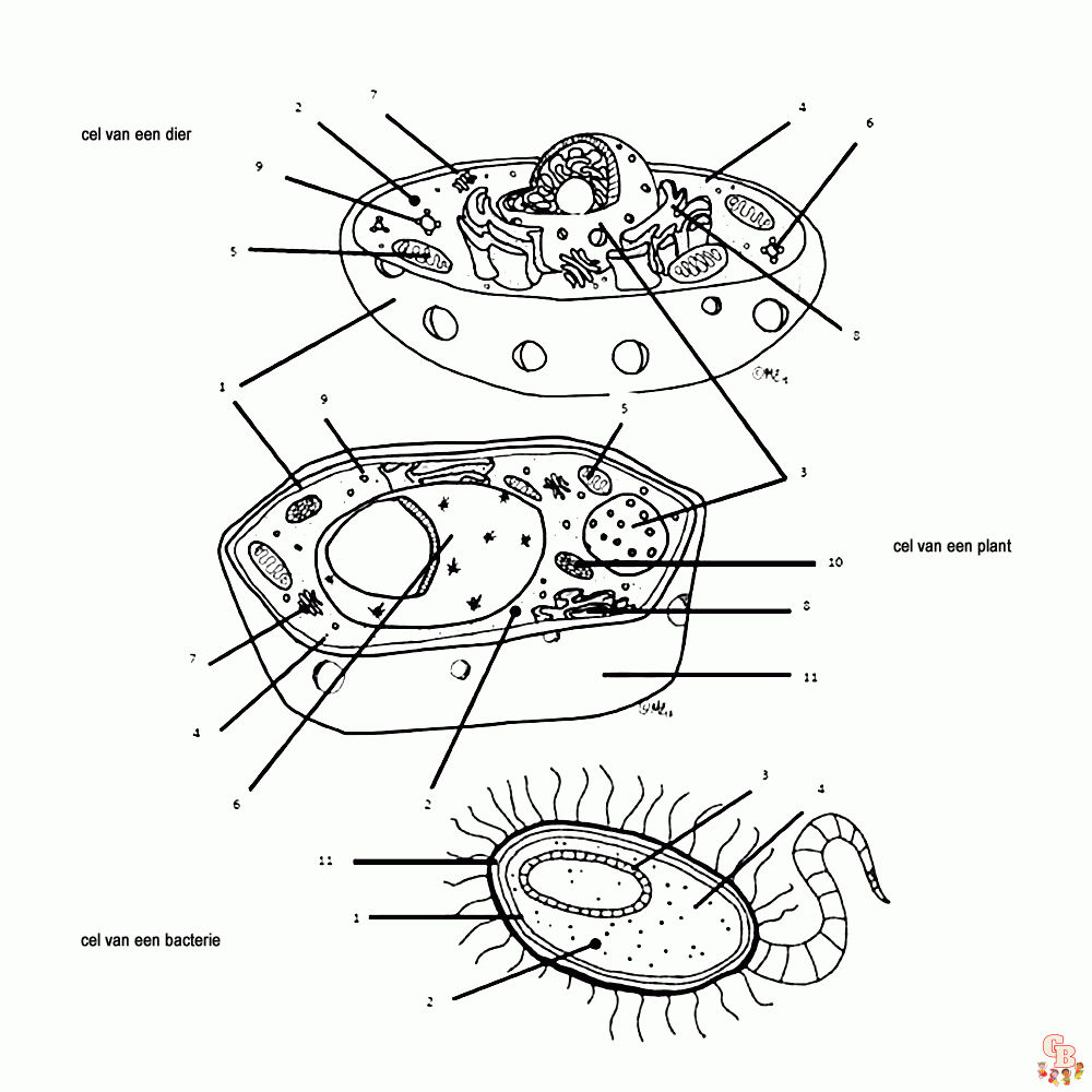 Micro organismen Kleurplaten 7